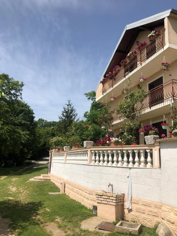 Apartman Ana Vrlika 외부 사진